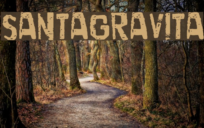 SantaGravita Example 2