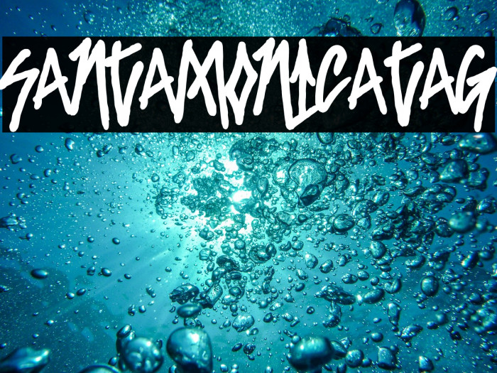 SantaMonicaTag Example 2