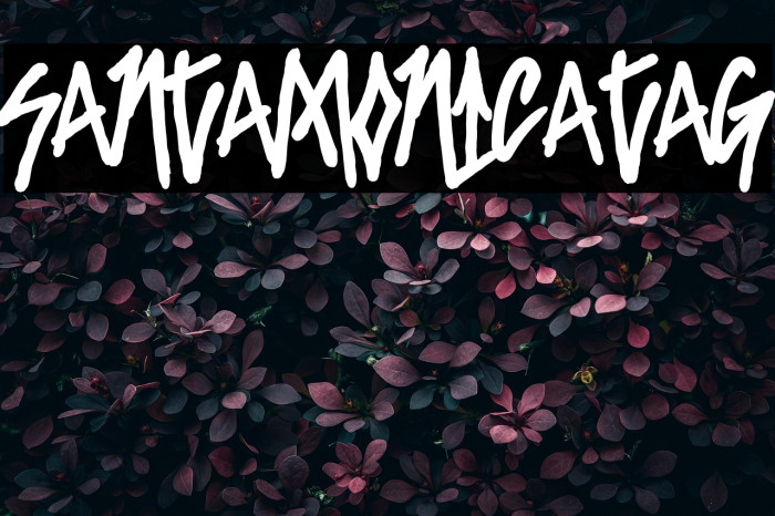 SantaMonicaTag Example 3