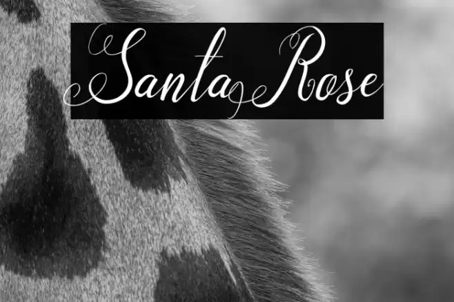 SantaRose Font examples