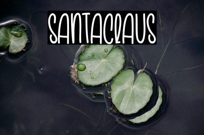 Santaclaus Example 2