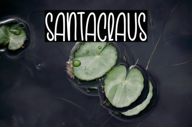 Santaclaus Example 2