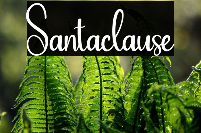 Santaclause Example 2