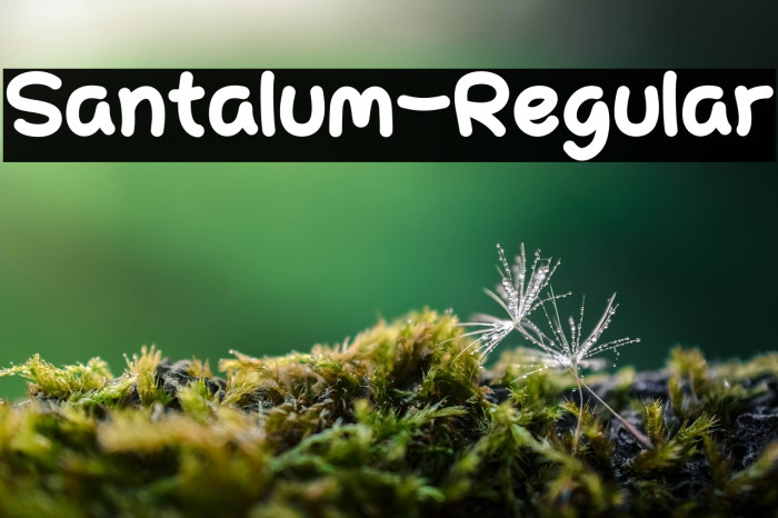 Santalum-Regular Example 1