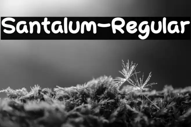 Santalum-Regular Font examples