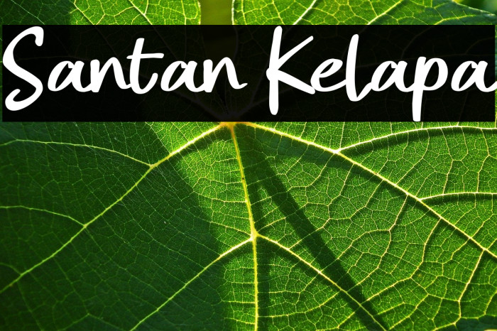 Santan Kelapa Example 2