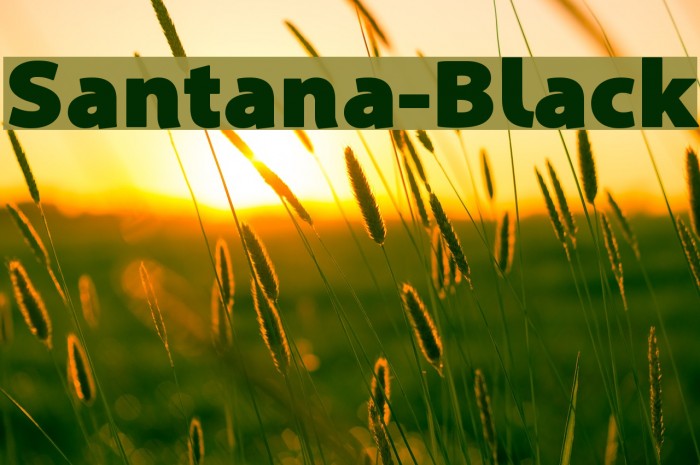 Santana-Black Font examples
