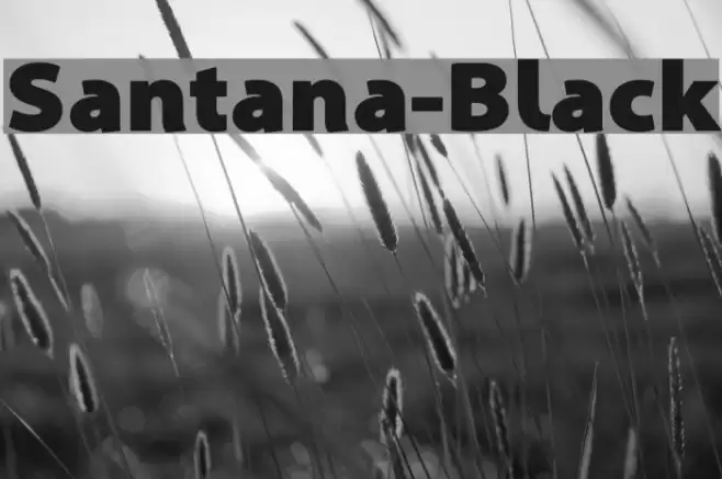 Santana-Black Font examples