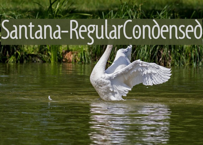 Santana-RegularCondensed Font examples