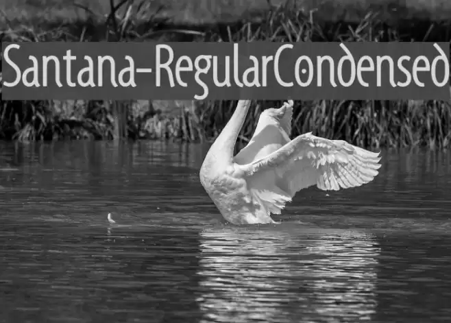Santana-RegularCondensed Font examples