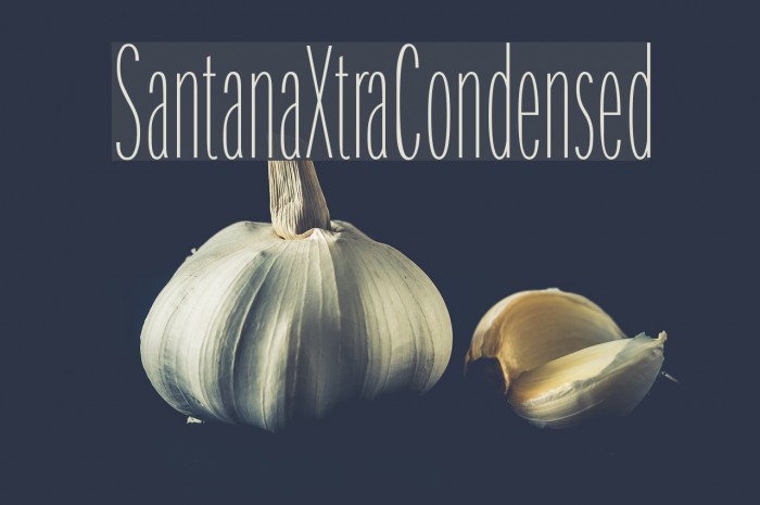 SantanaXtraCondensed Font examples