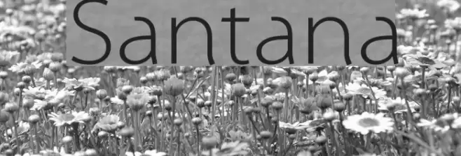 Santana Font examples