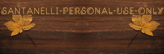 Santanelli-PERSONAL-USE-ONLY Example 2