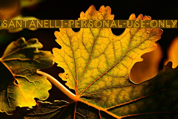 Santanelli-PERSONAL-USE-ONLY Example 3