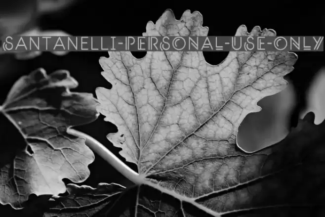 Santanelli-PERSONAL-USE-ONLY Font examples