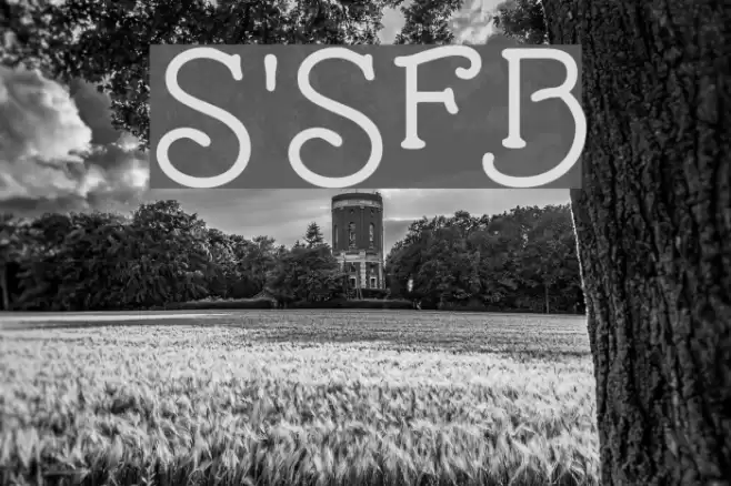 Santa'sSleighFull Bold Font examples