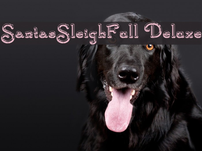 SantasSleighFull Deluxe Font examples