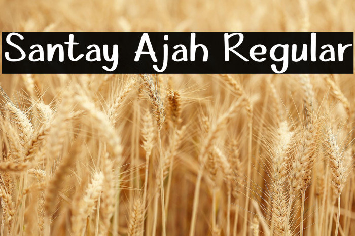 Santay Ajah Regular Example 3