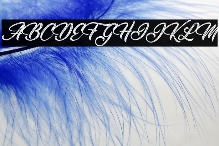 Santeria Personal Use Italic Example 1