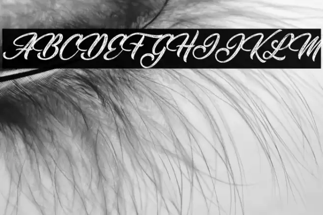 Santeria Personal Use Italic Font examples