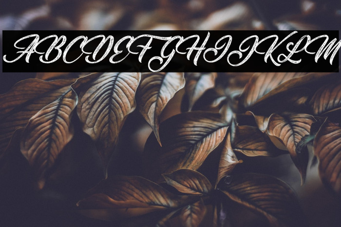 Santeria Personal Use Italic Example 2