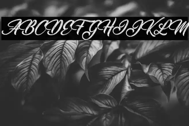 Santeria Personal Use Italic Font examples