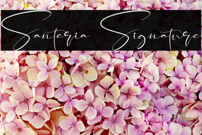 Santeria Signature Font examples