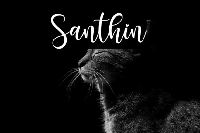 Santhin Font examples