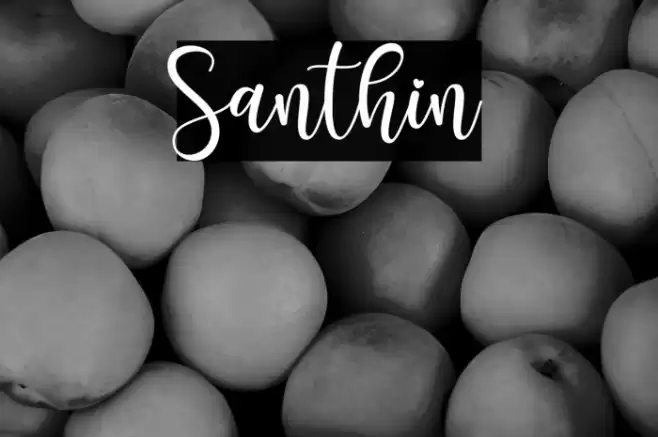 Santhin Font examples