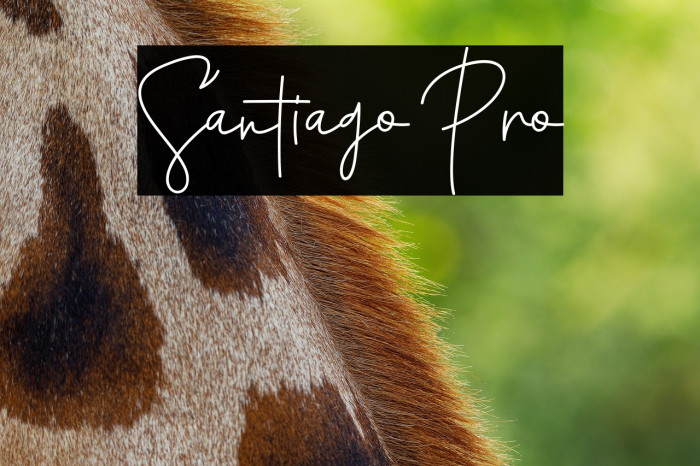 Santiago Pro Example 2