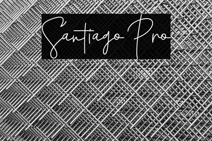 Santiago Pro Example 3