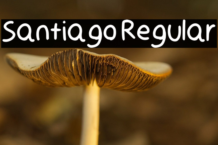 Santiago Regular Example 2