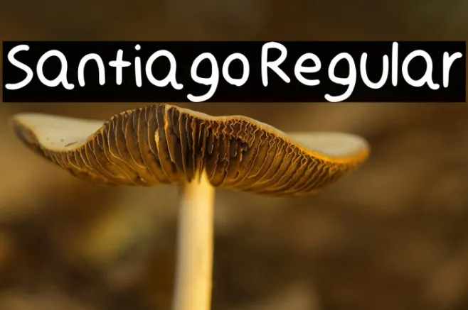 Santiago Regular Example 2