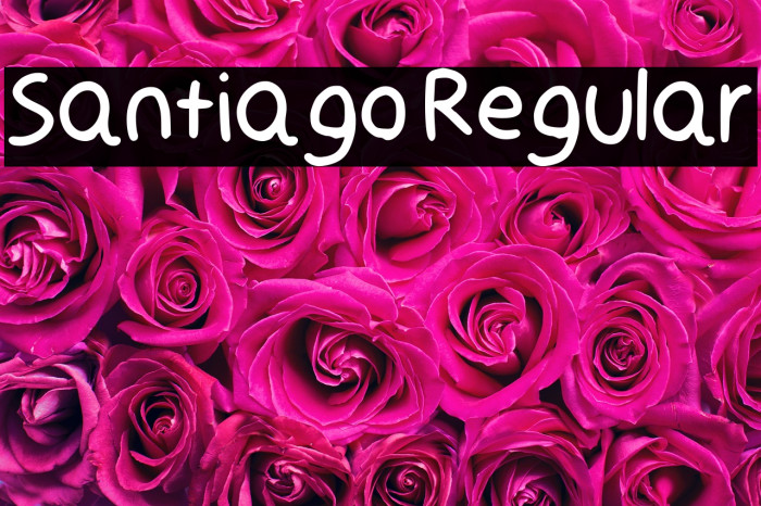 Santiago Regular Example 3