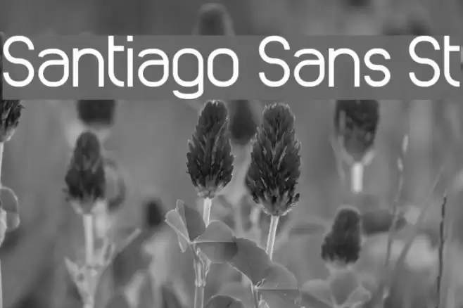 Santiago Sans St Font examples