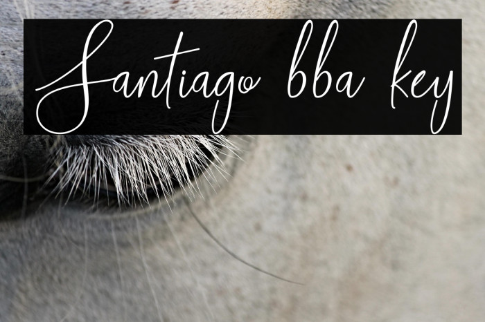 Santiago bba key Example 2