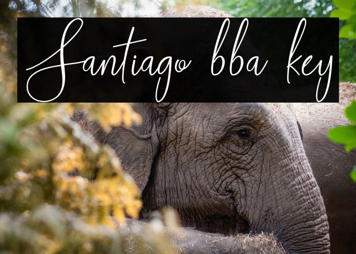 Santiago bba key Example 3