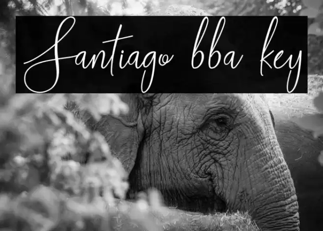 Santiago bba key Font examples