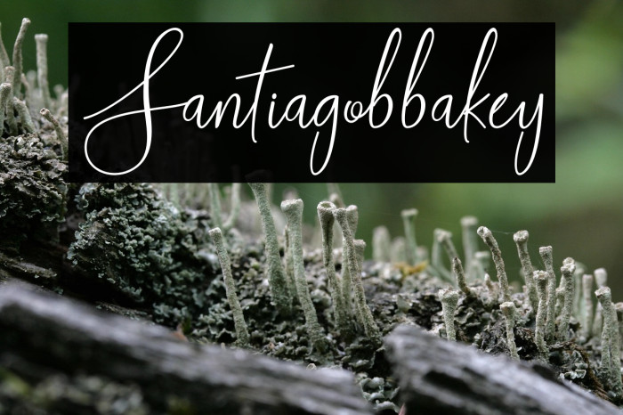 Santiago-bbakey Example 2