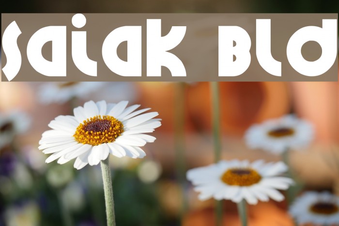 Santiako Bold Font examples