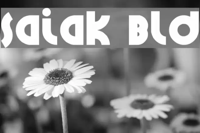 Santiako Bold Font examples