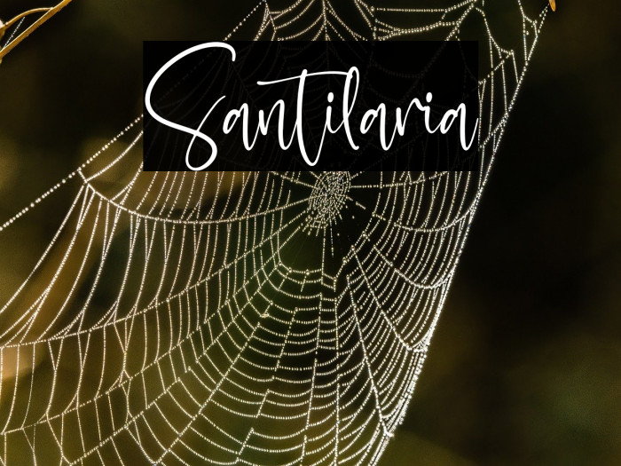 Santilaria Example 2