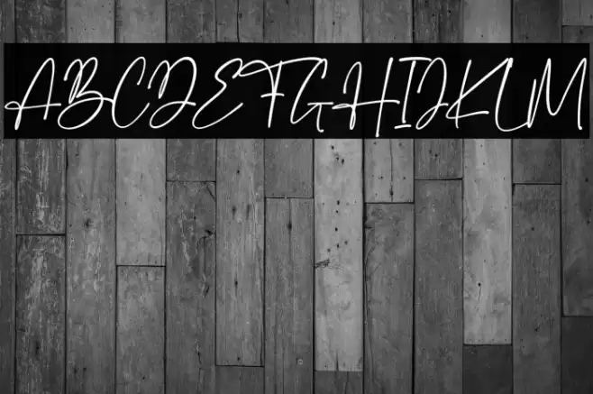 Santino Font examples