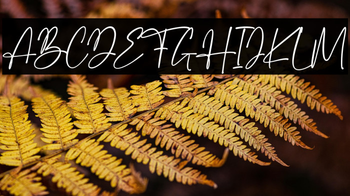 Santino Caratteri examples