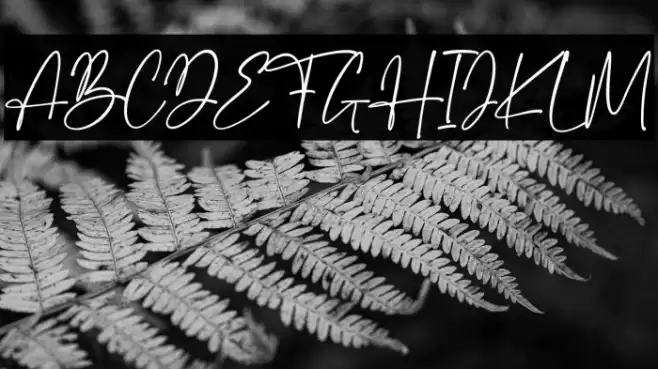 Santino Font examples