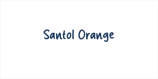 Santol Orange Logo