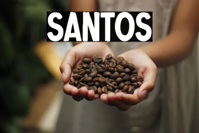 Santos Example 1