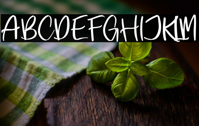 Santosa Edgar फ़ॉन्ट examples