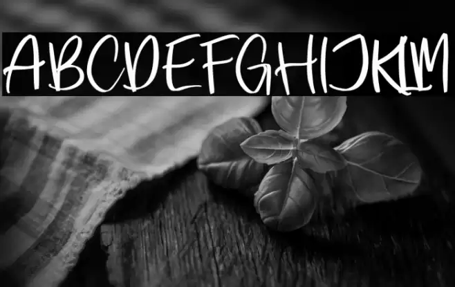 Santosa Edgar Font examples