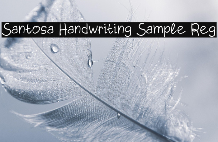 Santosa Handwriting Sample Reg Example 1